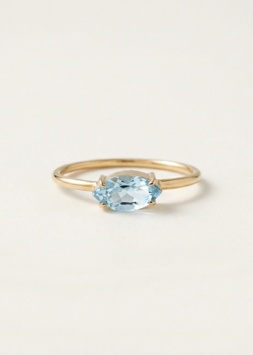 Anel Liz em Ouro Amarelo 18k