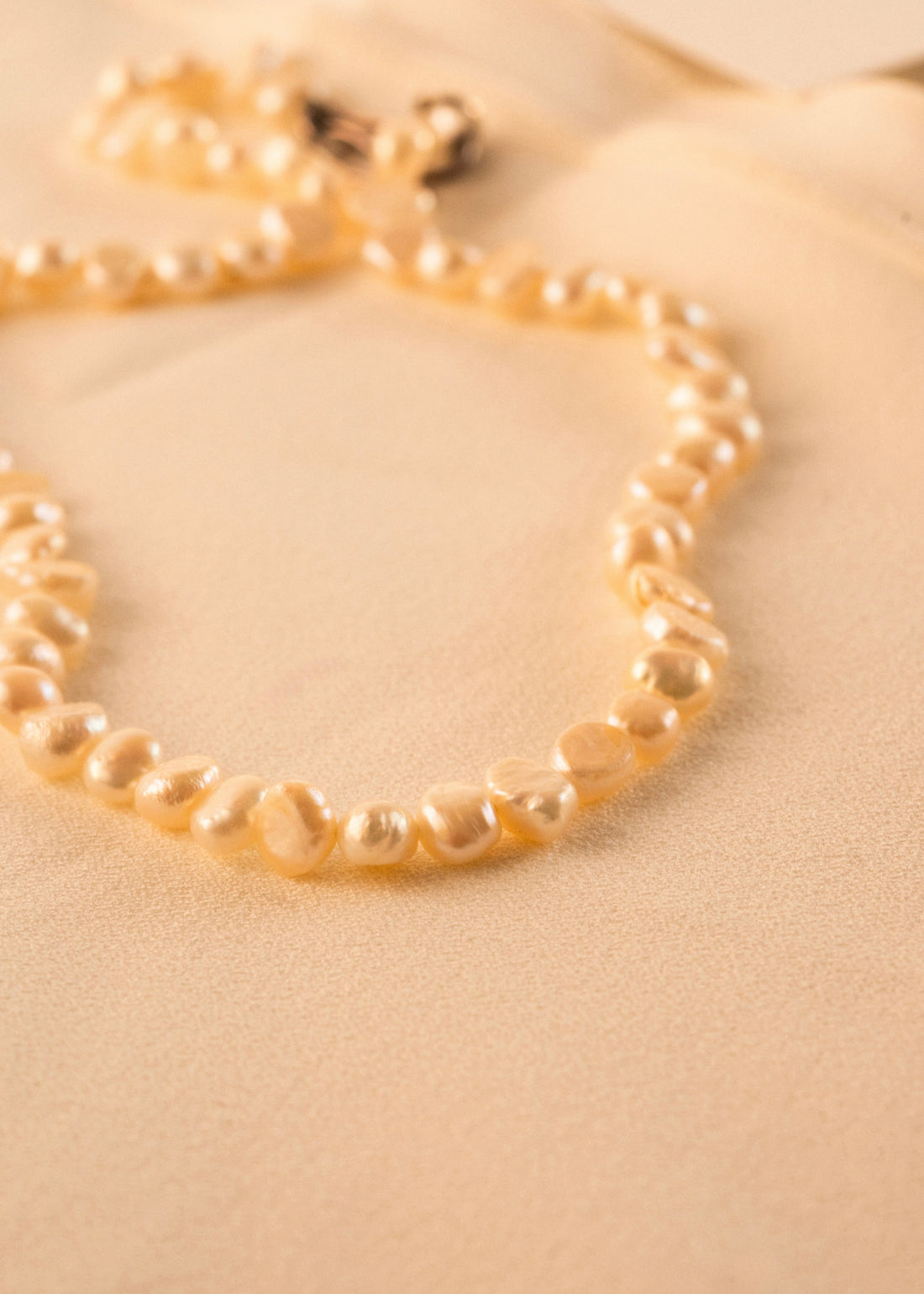 Choker Perla com Ouro Amarelo 18k