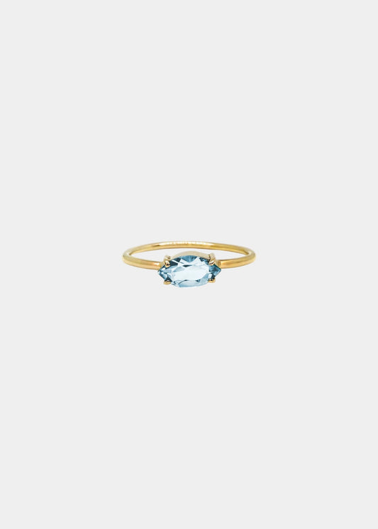 Anel Liz em Ouro Amarelo 18k
